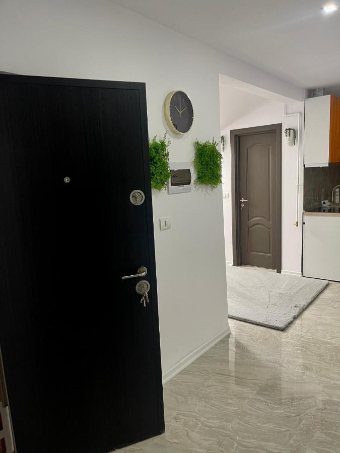 Cozy Apartament With 2Rooms Timisoara Esterno foto